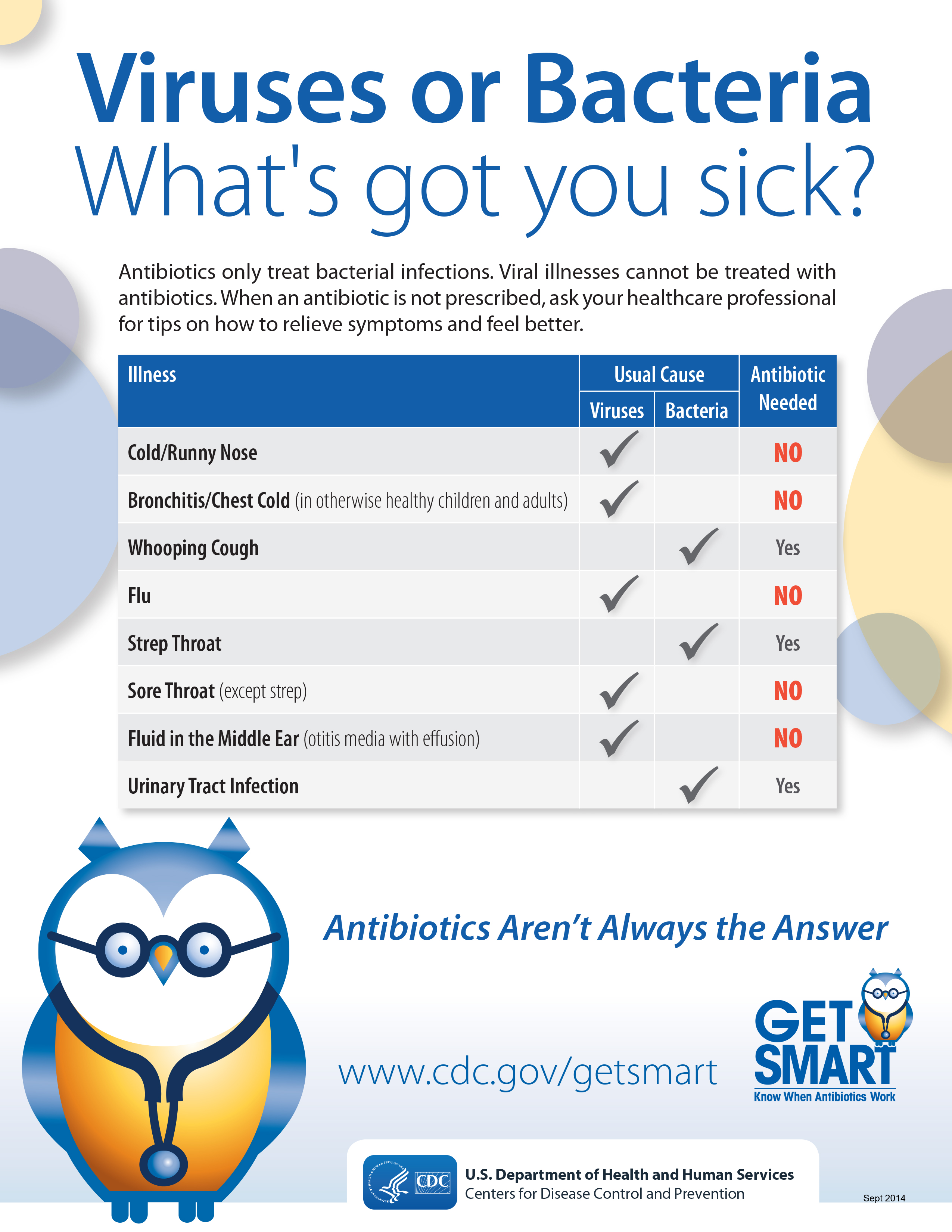 bacterial and viral infections essay bacterial and viral infections essay