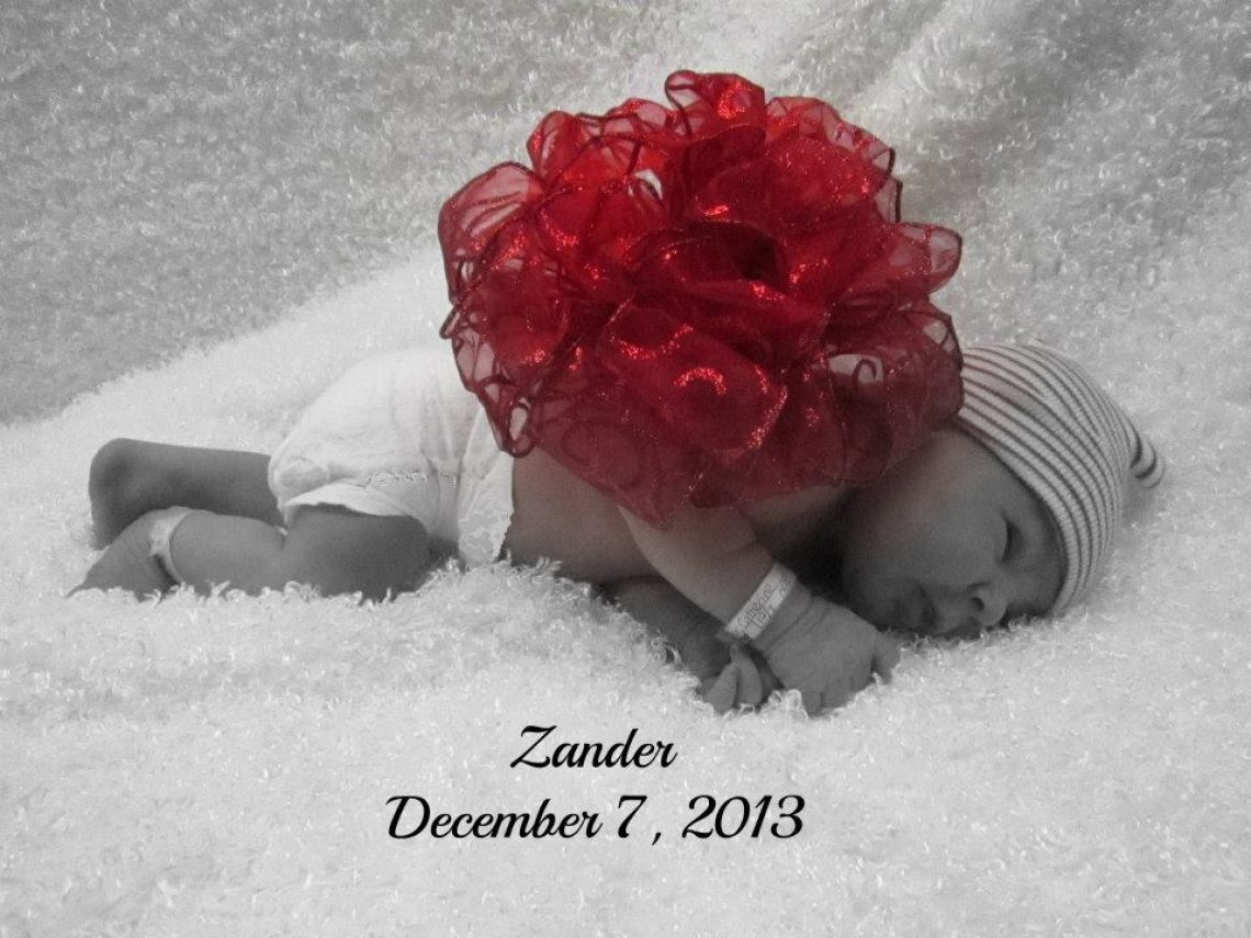 zander baby